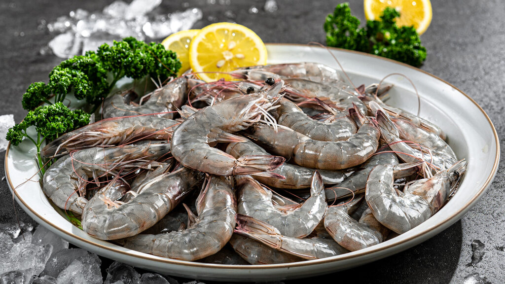 product_fresh-food_04